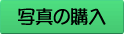 写真の購入