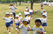 5月の写真