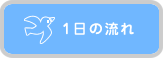 １日の流れ